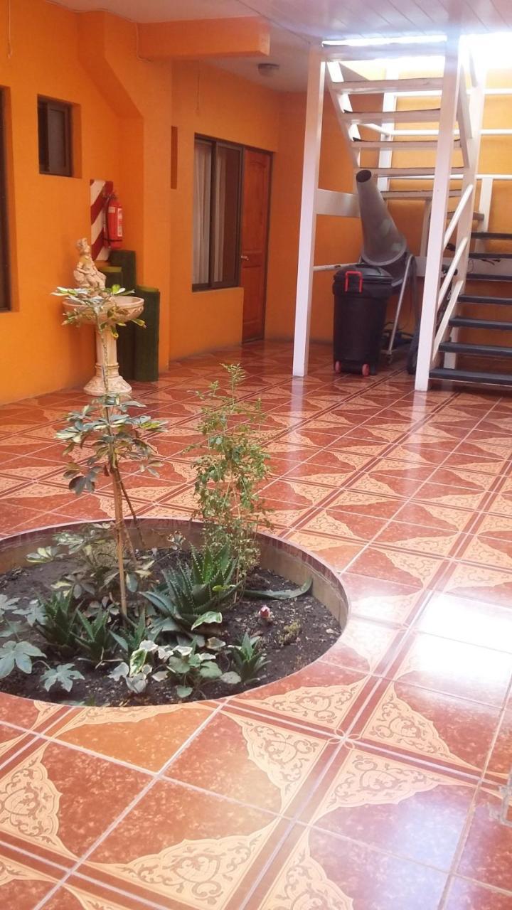Hotel Don Alfredo 卡拉马 外观 照片
